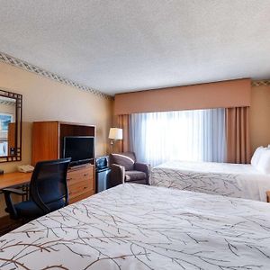 Double Room Two Double Beds Non-Smoking